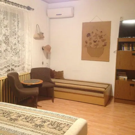 Abszolut Vendeghaz ゲストハウス