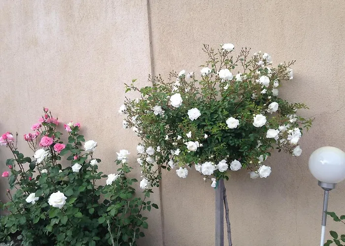 Abszolut Vendeghaz 2* 케츨리