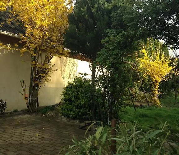 Abszolut Vendeghaz Keszthely
