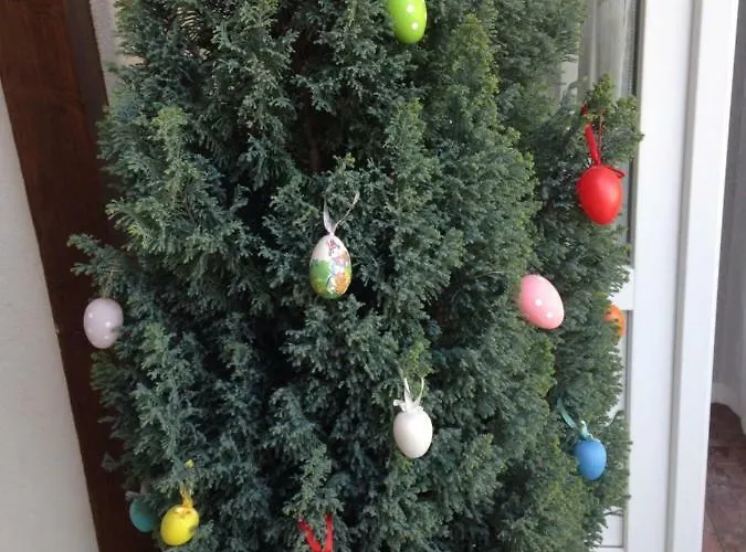 Abszolut Vendeghaz 게스트하우스