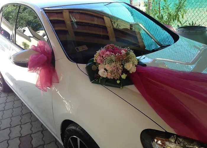 게스트하우스 Abszolut Vendeghaz